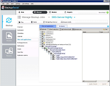 VSS application selection