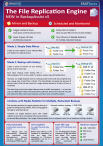exchange and sql factsheet